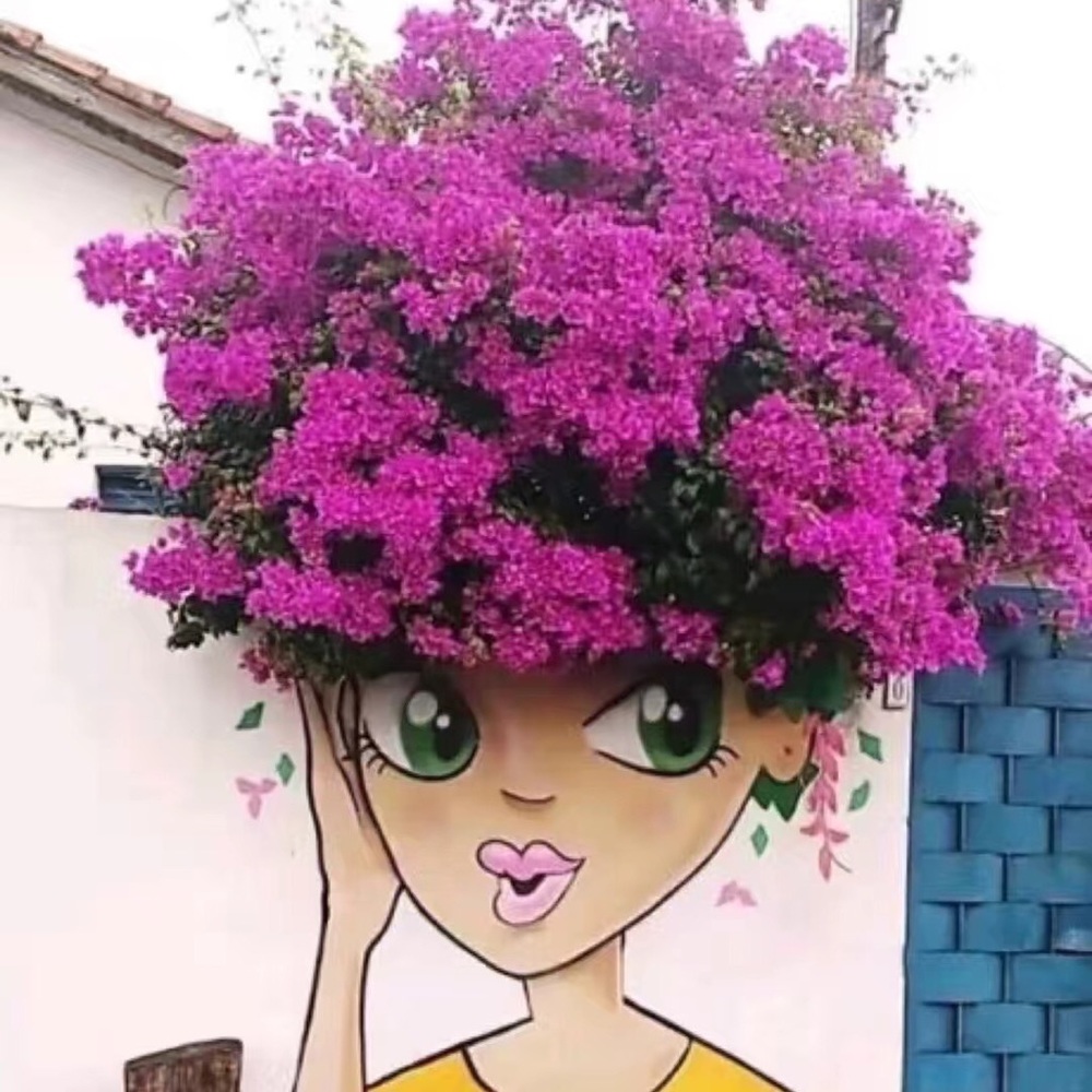 Meet your Posher, Rebeca